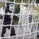 Illustration for article titled The Amazing World Of Zoo Drills, With Humans Dressed As Escaped Animals
